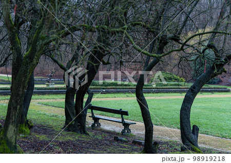 Old Park bench. Autumn colors in park 98919218
