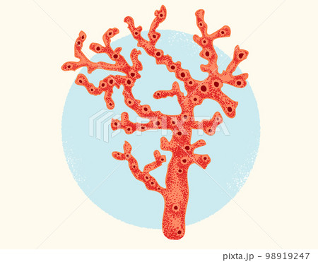 Vector vintage illustration of red coral. Retro poster with red coral on blue background. 98919247