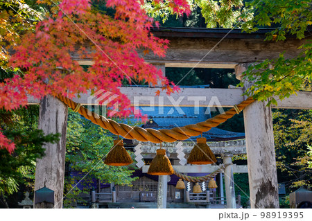 【白川郷】見頃の紅葉と白川八幡神社 98919395