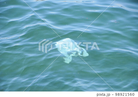 海に浮かぶレジ袋 98921560