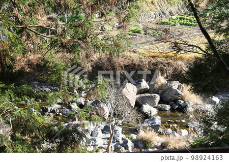 大阪高槻摂津峡の新春の風景 98924163
