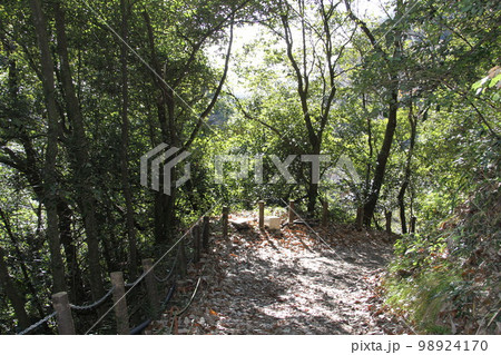 大阪高槻摂津峡の新春の風景 98924170