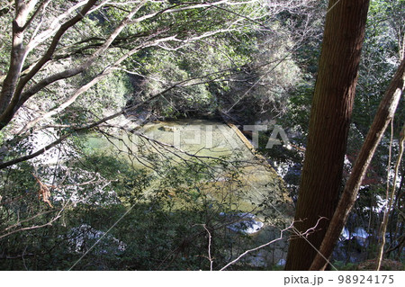 大阪高槻摂津峡の新春の風景 98924175