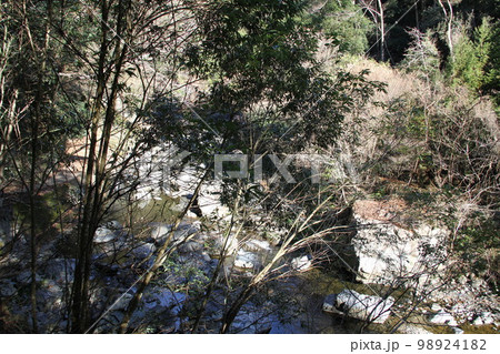 大阪高槻摂津峡の新春の風景 98924182