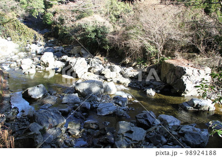 大阪高槻摂津峡の新春の風景 98924188