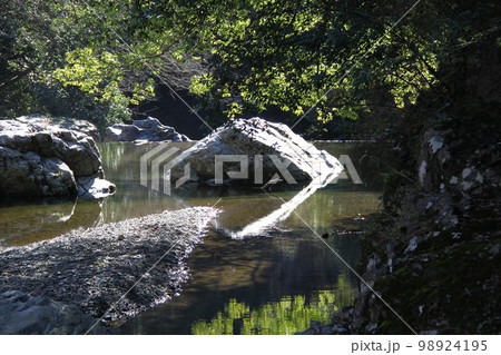 大阪高槻摂津峡の新春の風景 98924195