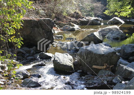 大阪高槻摂津峡の新春の風景 98924199