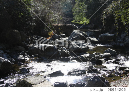 大阪高槻摂津峡の新春の風景 98924206