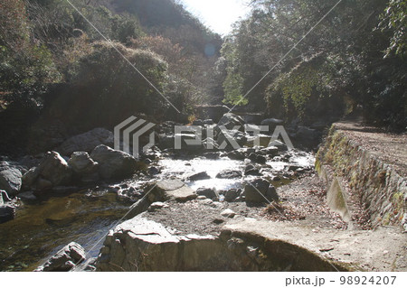 大阪高槻摂津峡の新春の風景 98924207