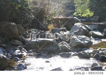 大阪高槻摂津峡の新春の風景 98924208