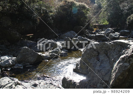 大阪高槻摂津峡の新春の風景 98924209