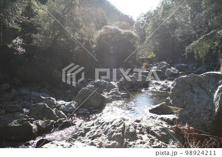 大阪高槻摂津峡の新春の風景 98924211