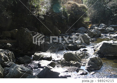 大阪高槻摂津峡の新春の風景 98924215