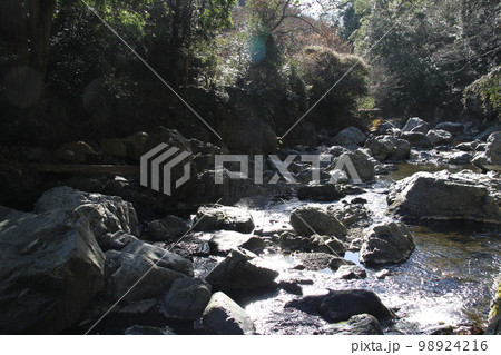 大阪高槻摂津峡の新春の風景 98924216