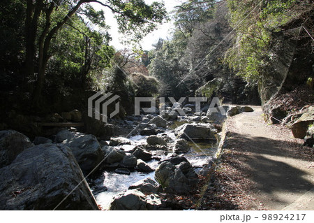 大阪高槻摂津峡の新春の風景 98924217