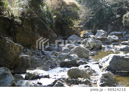 大阪高槻摂津峡の新春の風景 98924218