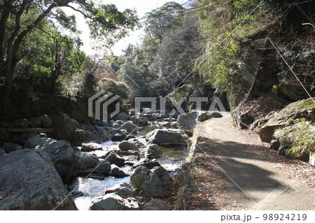 大阪高槻摂津峡の新春の風景 98924219