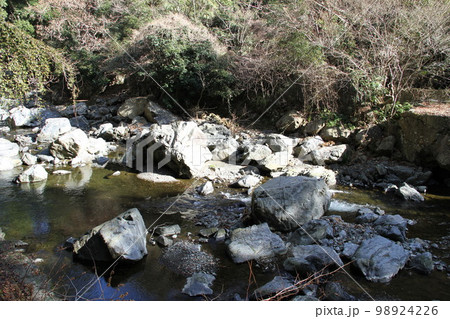 大阪高槻摂津峡の新春の風景 98924226