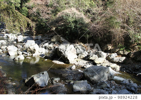 大阪高槻摂津峡の新春の風景 98924228