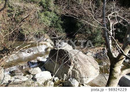 大阪高槻摂津峡の新春の風景 98924229