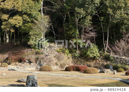 山口常栄寺雪舟庭の新春の風景 98924428