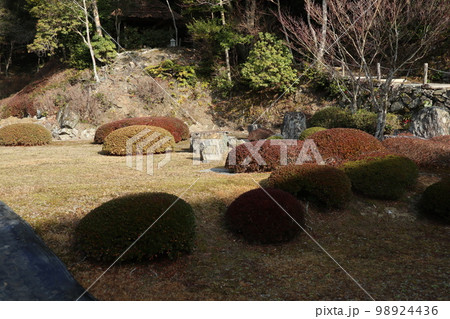 山口常栄寺雪舟庭の新春の風景 山口常栄寺雪舟庭の新春の風景 98924436