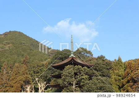 山口瑠璃光寺の新春の風景 98924654