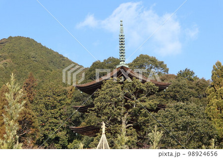 山口瑠璃光寺の新春の風景 98924656