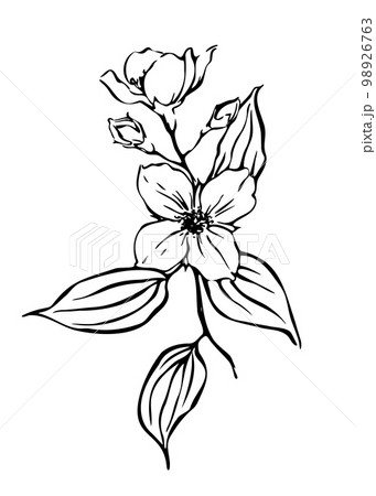Flower graphics sketch tattoo print Royalty Free Vector