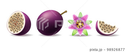 Purple passion fruit and flower 98926877