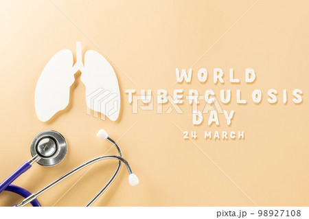 World TB Day. Top view of lungs paper symbol and medical stethoscope on pastel background, copy space, lung cancer awareness, concept of world tuberculosis day, banner background, pneumonia 98927108