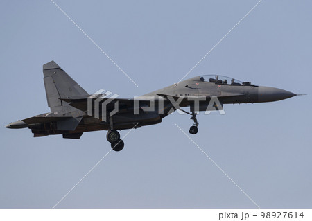 インド空軍スホーイSu-30MKI インド空軍スホーイSu-30MKI 98927614