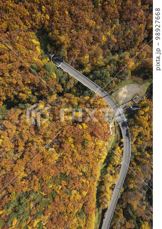 北海道 定山渓ダム周辺の道路と紅葉（空撮 真俯瞰） 98927668