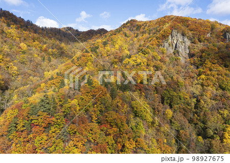 北海道 秋の定山渓 錦橋 舞鶴の瀞周辺の紅葉（空撮） 98927675