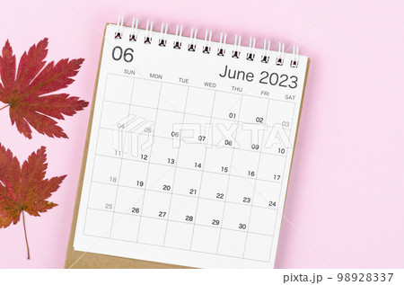 The June 2023 desk calendar for 2023 year with autumn maple leaf on pink color background. 98928337