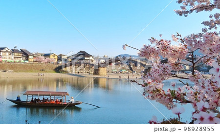 【山口県】錦帯橋と満開の桜 98928955