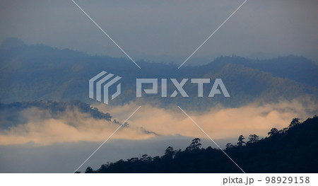 foggy landscape, background  landscape with dramatic sky and fog 98929158