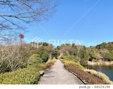 恩賜苑の散歩道と青空〈岡崎中央総合公園/愛知県岡崎市〉 98929196