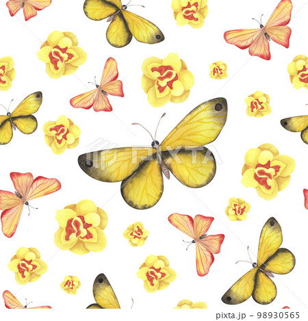 seamless pattern yellow butterfly with daffodils isolated on white. Watercolor illustration for design fabrics 98930565
