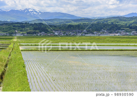 宮城県蔵王町 水田と残雪の蔵王 宮城県蔵王町 水田と残雪の蔵王 98930590