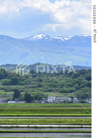 宮城県蔵王町 水田と残雪の蔵王 98930595