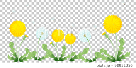 水彩蒲公英透明素材 98931356