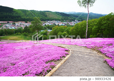 芝ざくら滝上公園と街並み　北海道 98933426