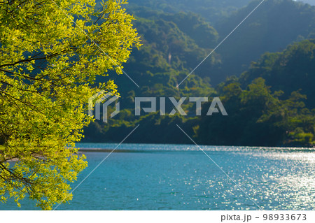 The turquoise lake water and the shade of trees constitute a peaceful picture. 98933673