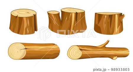 Wood stump and log wooden forest natural materials 98933803