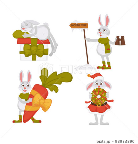 Christmas bunnies or rabbits isolated animals hare in scarf or skirt 98933890
