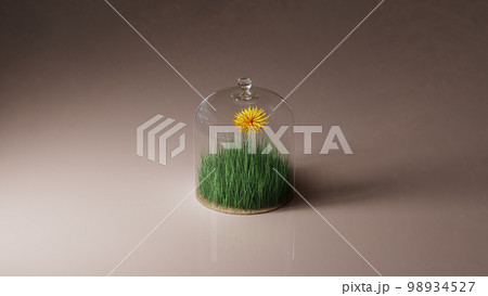 Glass dome with green grass and yellow flower. 3d render, 3d illustration. 98934527