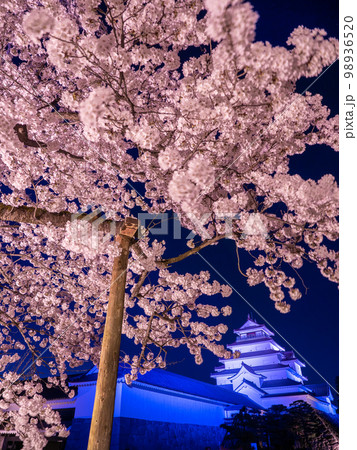 4月福島・会津若松 鶴ヶ城(会津若松城)天守閣と桜のライトアップ 4月福島・会津若松 鶴ヶ城(会津若松城)天守閣と桜のライトアップ 98936520