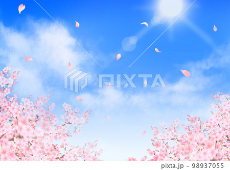 美しく華やかな満開の桜と花びら舞い散る春の爽やか青空に光差し込む雲のフレーム背景素材イラスト 98937055