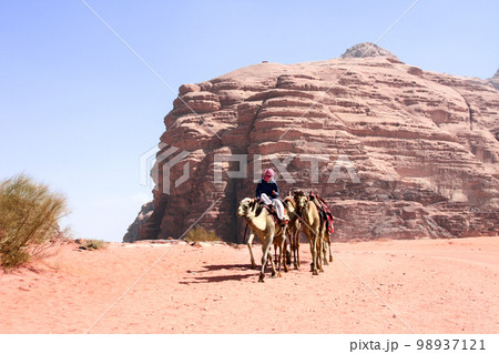 Bedouin with caravan of camels dromedary ride on off-road on sand among the rocks in Wadi Rum desert, Jordan 98937121